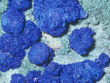 Azurite Crystals  Arizona  USA
