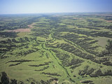 Aerial View of Stream Patterns  Grasslands  and Riparian Growth East of Wellfleet  Nebraska  USA