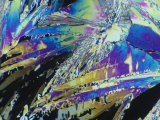 Vitamin C (Ascorbic Acid) Crystals Polarized