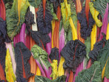 Rainbow or Five-Colored Swiss Chard