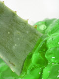 Aloe Vera Plant and Gel