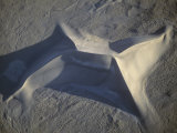 Sand Dunes Near Tonapah  Nevada  USA