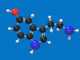 Molecular Model of Seratonin  a Neurotransmitter