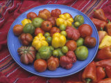 Variation in Tomatoes  Mixture of Rainbow Heirloom Varieties