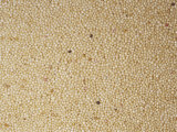 Amaranth Grain Seeds (Amaranthus) North and South America