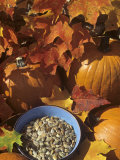 Pumpkins and Pumpkin Seeds  with Fall Leaves