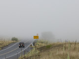 A Vehicle Slows as it Approaches a Bank of Coastal Fog with Near Zero Visibility in Hawaii