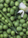 Peas  Frosty