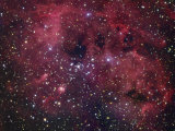 Ic410 Emission Nebula in Auriga