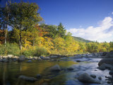 Swift River in the Autumn  White Mountains National Forest  New Hampshire  USA