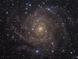 The Spiral Galaxy Ic342 in Camelopardalis