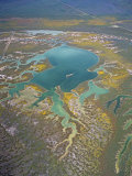 Aerial View of the Carrizo Plain and the Wetlands of Soda Lake  California  USA