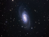 Ngc 2903  Spiral Galaxy in Leo