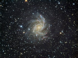Ngc 6946 Spiral Galaxy in Cepheus