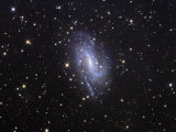 Ngc 925 Spiral Galaxy in Triangulum