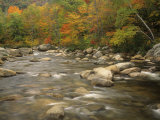 Swift River in Autumn  White Mountains National Forest  New Hampshire  USA