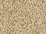 Organic Quinoa Seeds (Chenopodium Quinoa)