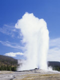 Old Faithful Erupting  Yellowstone National Park  Wyoming  USA