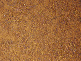 Annatto Ground Dried Seeds for Use as a Spice or Herb (Bixa Orellana) Native from Mexico to Brazil