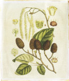Golden Bough I