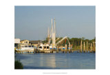 Safe Harbor II