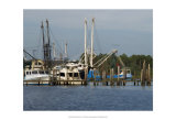 Safe Harbor V