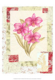 Magenta Flower Studies I