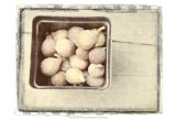 Basket of Figs