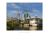 Safe Harbor I