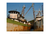 Safe Harbor IV