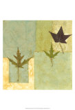 Earth Elements II