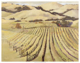 Summer Vineyard