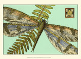 Dragonfly on Aqua I