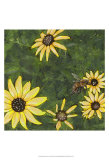 Indian Summer I