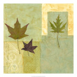Earth Elements I