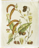Golden Bough IV
