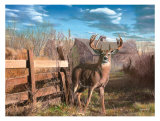 Back Forty Buck