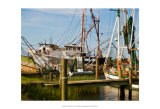Safe Harbor III