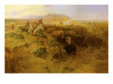 The Buffalo Hunt 2  1900