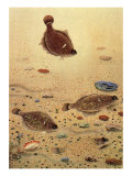 Flounders  1940
