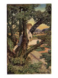 Boy in a Tree  1905