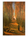 Poplar-Lined Path  1884