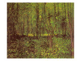 Trees and Undergrowth  1887