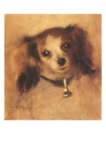 Head of a Dog  1870