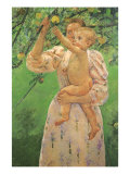 Picking an Apple  1893