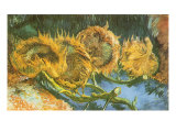Four Cut Sunflowers  1887
