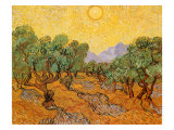 Sun over Olive Grove  1889