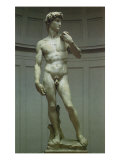 Michelangelo's David  1502