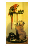 Islay and Tilco with a Macaw and Two Love-Birds  1839
