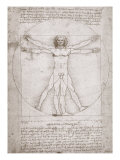 Proportions of the Human Figure According to Vitruvius